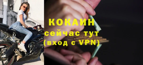 спиды Чекалин