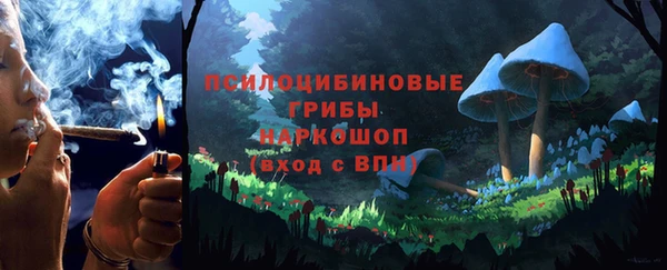 гидропоника Каменск-Шахтинский