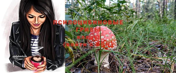 героин Чердынь