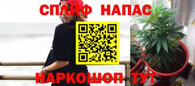 mdpv Славянск-на-Кубани